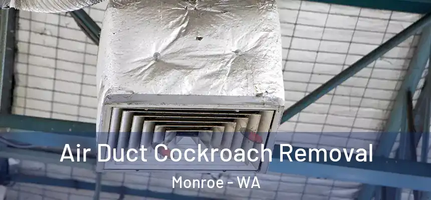 Air Duct Cockroach Removal Monroe - WA