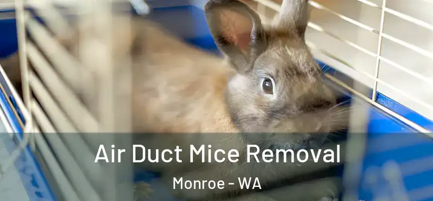Air Duct Mice Removal Monroe - WA