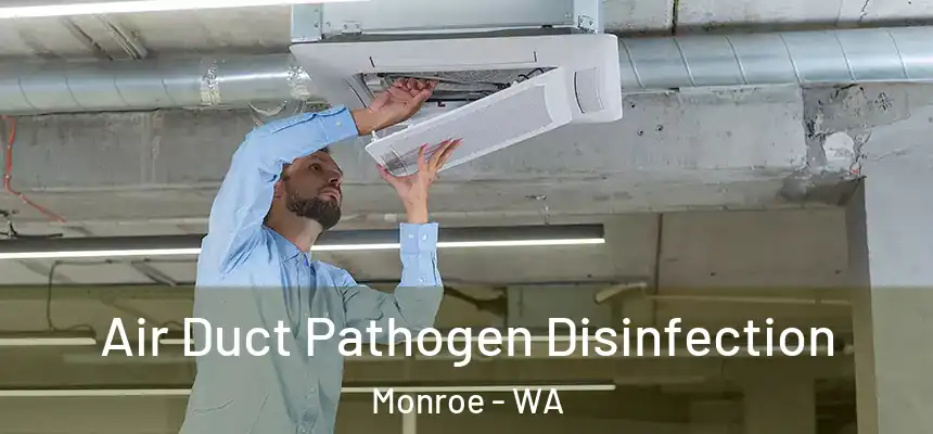 Air Duct Pathogen Disinfection Monroe - WA
