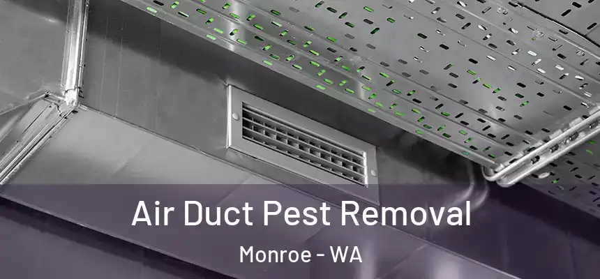 Air Duct Pest Removal Monroe - WA