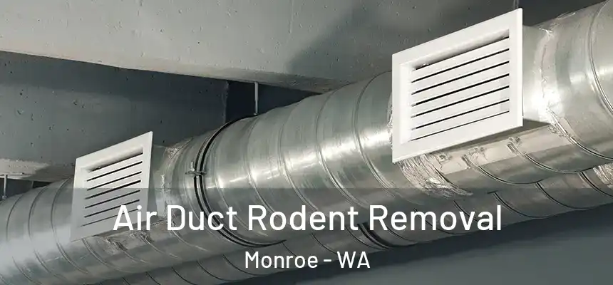  Air Duct Rodent Removal Monroe - WA