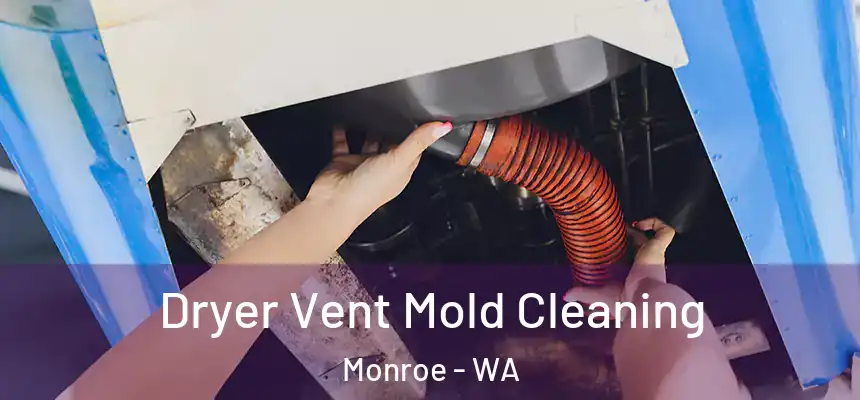 Dryer Vent Mold Cleaning Monroe - WA