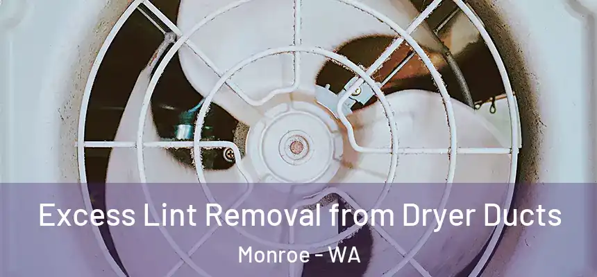 Excess Lint Removal from Dryer Ducts Monroe - WA