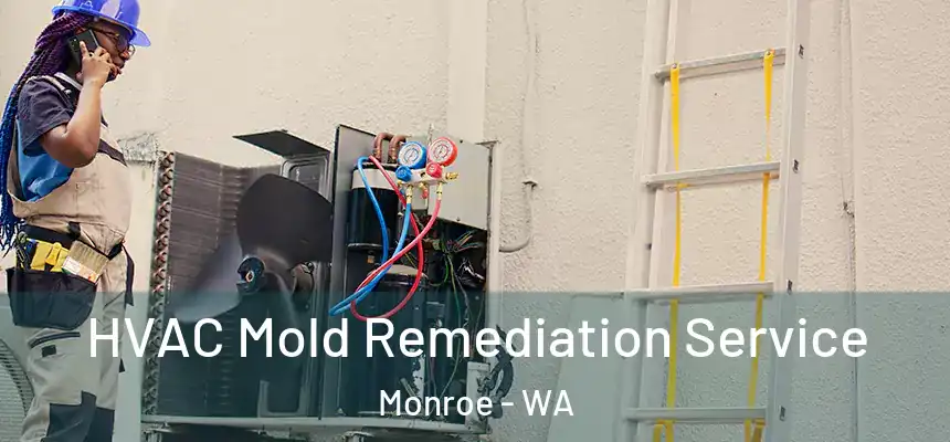 HVAC Mold Remediation Service Monroe - WA