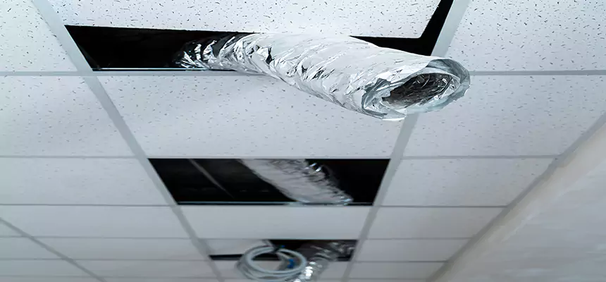 Our Air Duct Pet Hair Removal Services in Monroe, WA