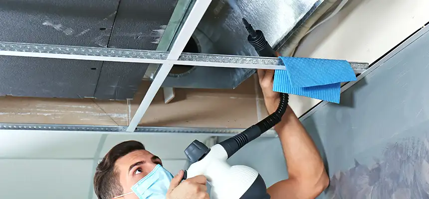 Our Air Duct Rodent Removal Services in Monroe, WA