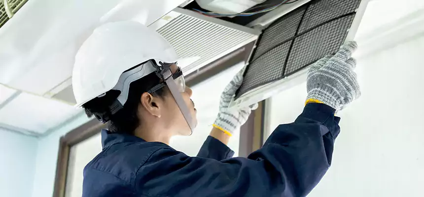 Our Mold & Mildew Removal from Air Ducts Services in Monroe, WA