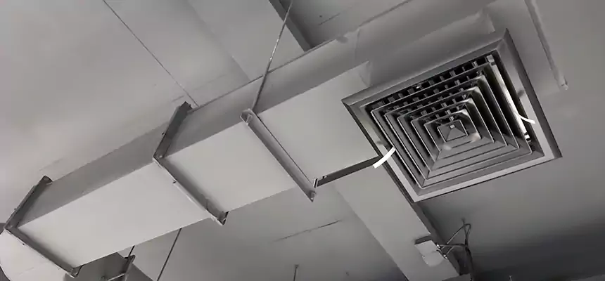 Our Pest Removal From Ducts Services in Monroe, WA