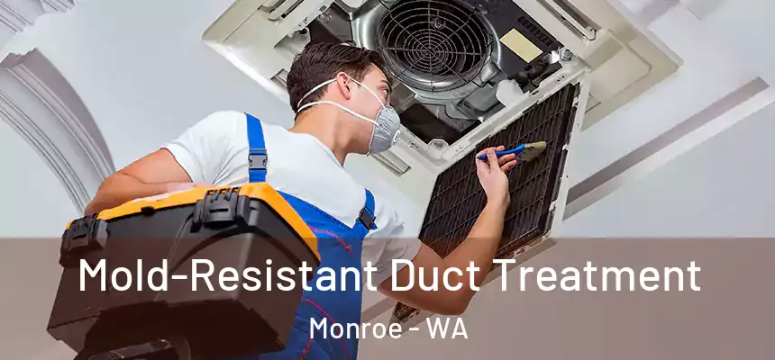 Mold-Resistant Duct Treatment Monroe - WA