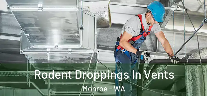Rodent Droppings In Vents Monroe - WA