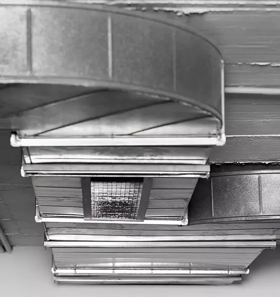 Professional Air Duct Pet Hair Removal in Monroe, WA