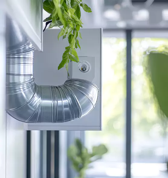 Professional Eco-Friendly Duct Cleaning Services in Monroe, WA