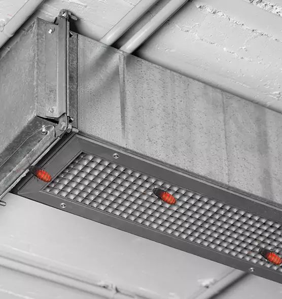 Affordable Insect Removal from Air Ducts in Monroe, WA