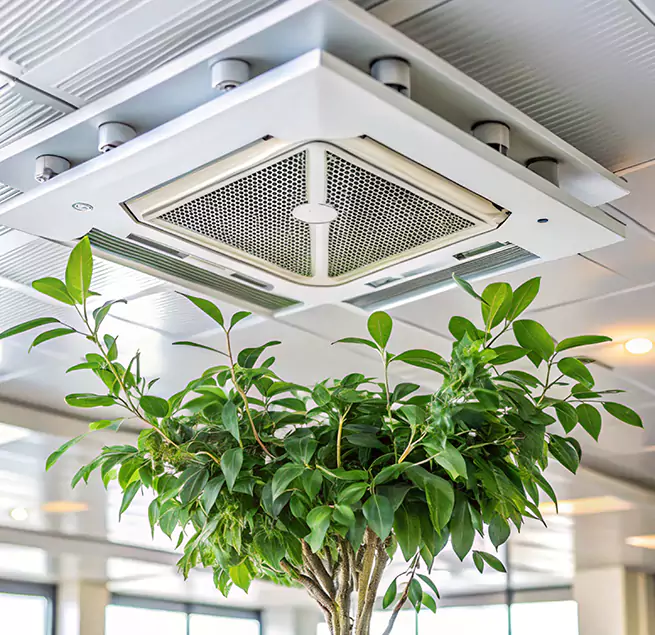 Why Homeowners & Businesses Trust Us in Monroe, WA?