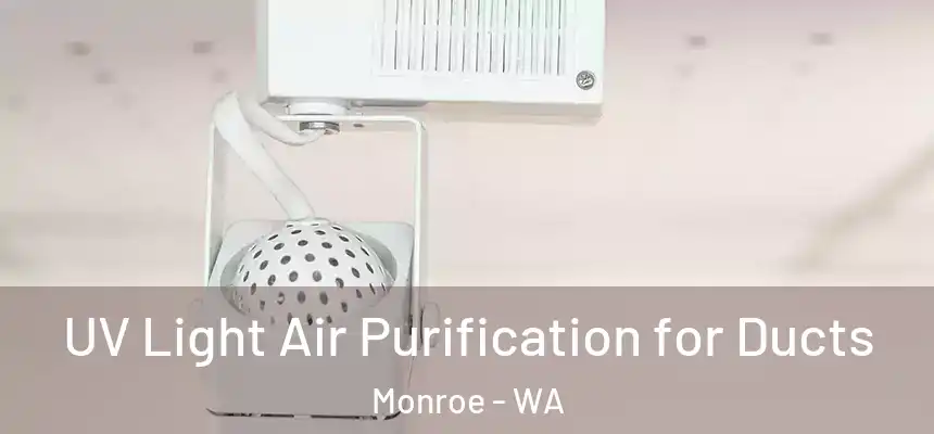  UV Light Air Purification for Ducts Monroe - WA